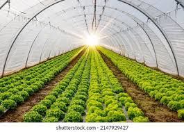 Agriculture and Horticulture